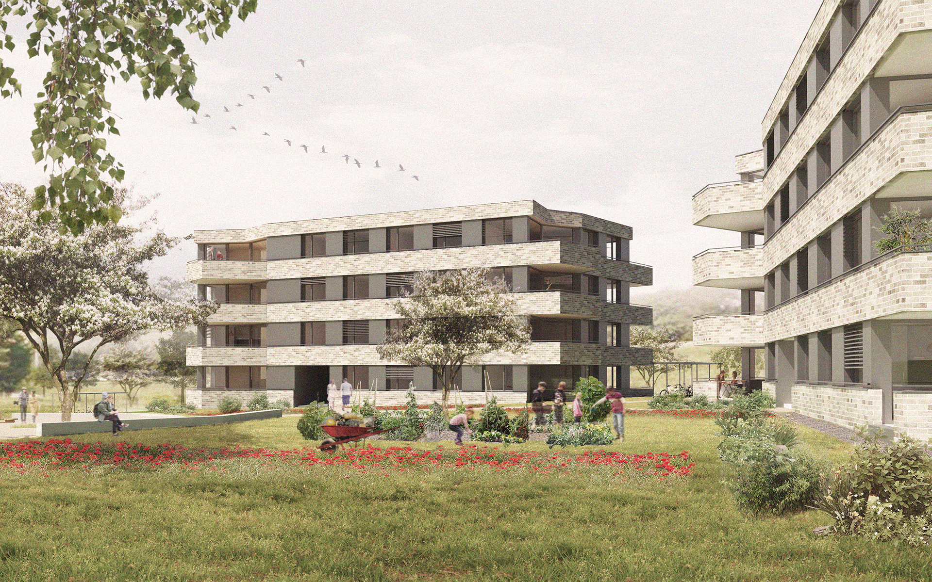 Logements (concours) [br]Bussigny